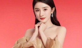 娱乐爆料杨幂资源下载,揭秘明星幕后资源攻略